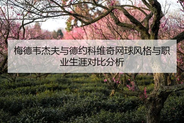 梅德韦杰夫与德约科维奇网球风格与职业生涯对比分析