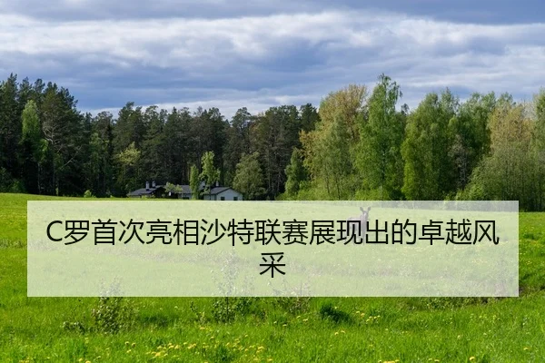 luo-shou-ci-liang-xiang-sha-te-lian-sai-zhan-xian-chu-de-zhuo-yue-feng-cai-2-558.jpg